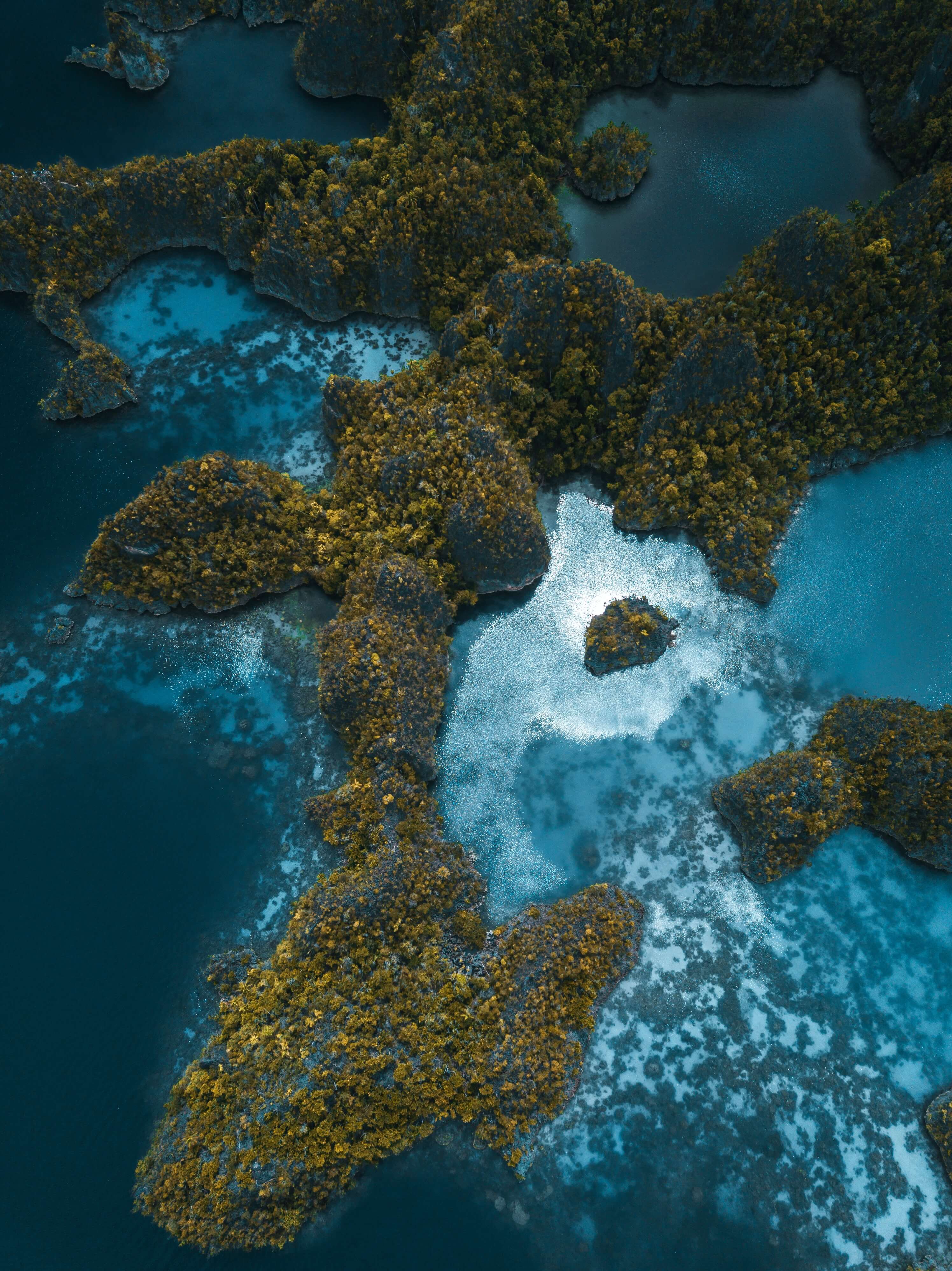 Lush Indonesian islands surrounded by turquoise water